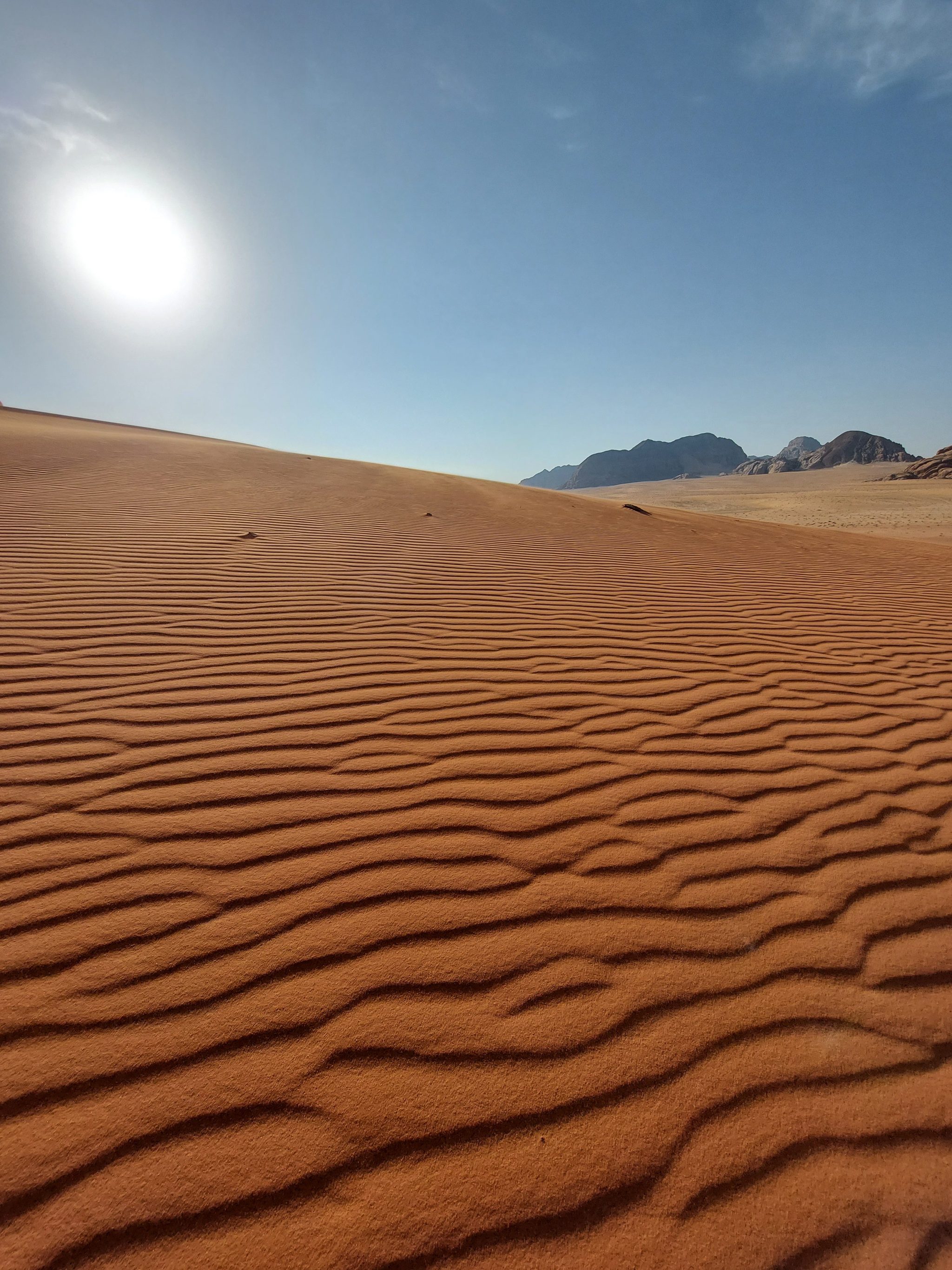 Désert Wadi Rum Jordanie : Activités, Hébergements & Conseils