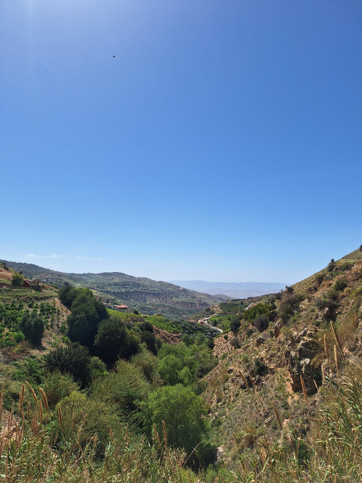 Jordanie et homosexualité : ce qu’il faut savoir avant de voyager