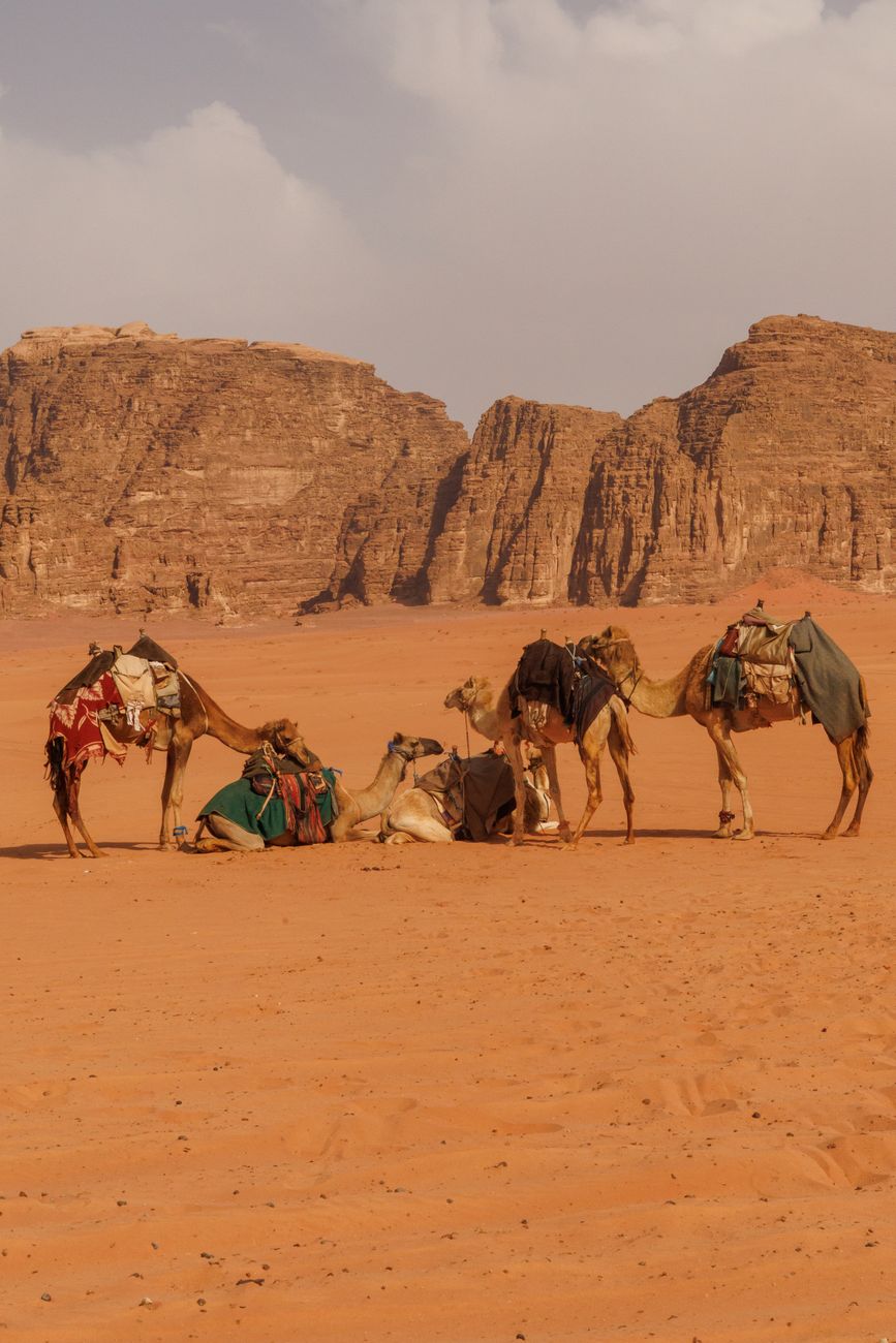Coutumes locales en Jordanie : ce que vous devez absolument savoir avant de partir